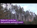 Geldersch Landschap doet grootste aankoop in jaren