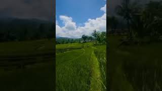 Download lagu sholawat jibril instrumen mp3