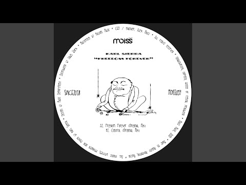 Freedom Forever (Original Mix)