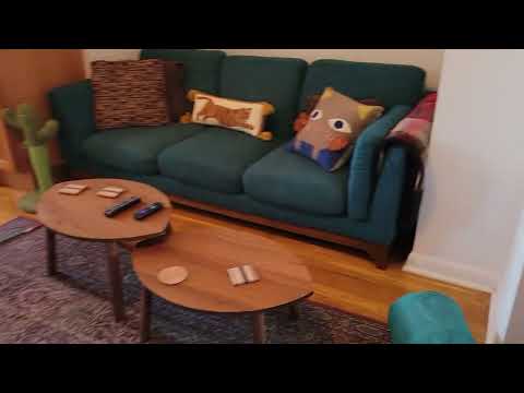 video 1
