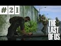 Прохождение The Last of Us (Одни из Нас) | СПАСЕНИЯ НЕТ ? | #21 