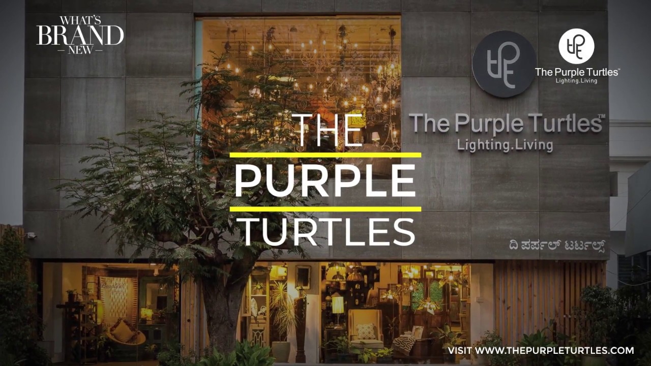 The Purple Turtles | Interiors | Lighting | Design House