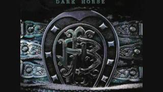 Nickelback Dark horse - Shakin&#39; Hands