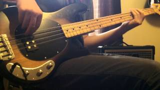Red Hot Chili Peppers-Pink as Floyd Bass Cover
