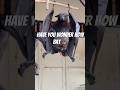 Have You Wonder HowBat Dropp And Urine Bats And Health Animals Bats Birds