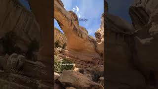 Must do Hikes in Capitol reef national park in Utah #capitolreefnationalpark #utahmighty5