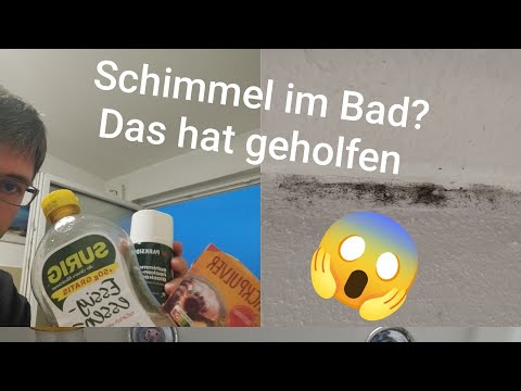 Kampf dem Schimmel: Backpulver und Essig gegen konventionelle Reiniger!