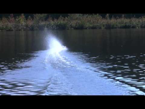 SEGAD / King of Shaves rc boat