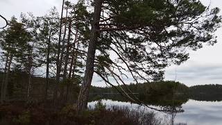 preview picture of video 'Raw footage by the lake in Näset 4'