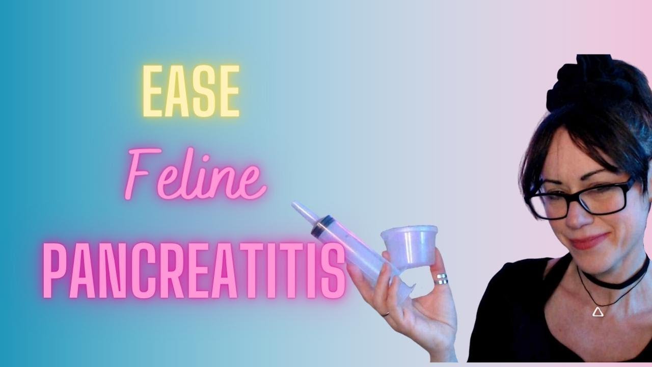 How to naturally help your cats recover from pancreatitis and provide long-term nutritional support.