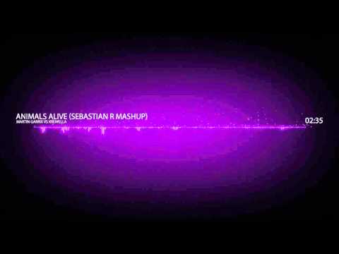 Martin Garrix Vs Krewella - Animals Alive (Sebastian R Mashup)