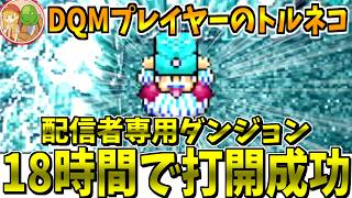【トルネコの大冒険 不思議のダンジョン】#3 遂に配信者専用ダンジョンクリア！！★DQMガチ勢の初見プレイ生配信【LIVE】