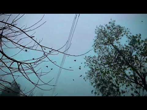 4k bannu nature, 4k scene in Bannu