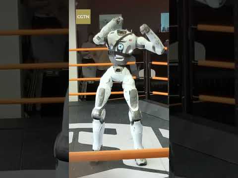 Chinese robot shows off Bruce Lee-style 'back sweep'
