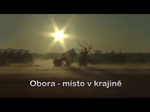 Obora – místo v krajině