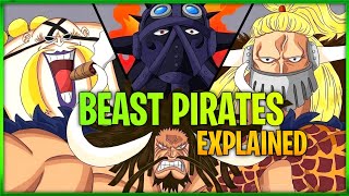Beast Pirates Explained || OP Weekly || Explained in Hindi