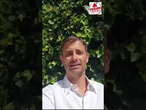 Video of Ignacio Sanchez Recarte