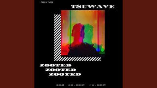 Zooted Music Video