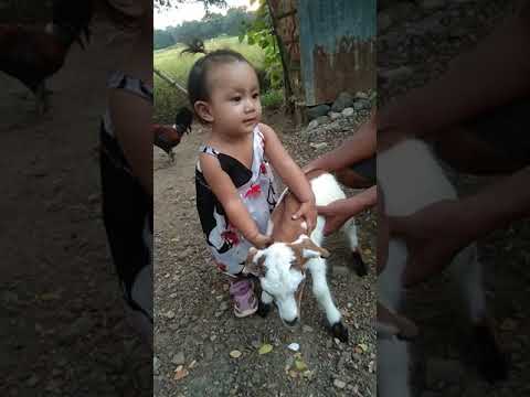 Raizel sky is a animal lover