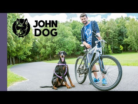 Jak jeździć na rowerze z psem na smyczy? – TRENING PSA - John Dog
