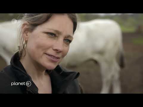 planet e.: Tierwohl bis zum Ende Doku (2021)
