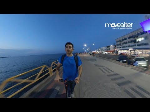 Conheça a cidade de Santarém no meio da Floresta Amazônica