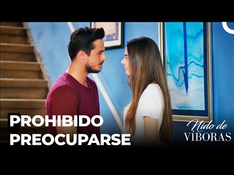 La Felicidad De Mi Esposa Importa Sobre Todo - Nido De Víboras