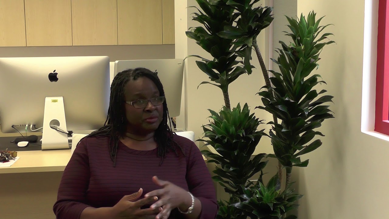 SDSU library gets a new layout