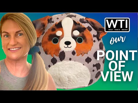 Squishmallows Australian Dog Plush Toy - WTI product video review