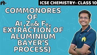 Metallurgy | Class 10 ICSE Chemistry | Selina Chapter 7 | Occurrence of Metals Bayer's Process