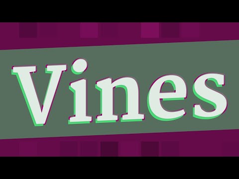 VINES pronunciation • How to pronounce VINES
