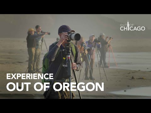 Experience Out of Oregon