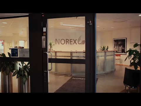 Norex drives sustainable growth with SAP Business One Cloud