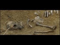 Taegukgi Ending YouTube