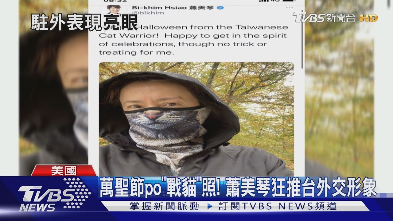 蕭美琴戰貓形象加分 捷學者:與陸「戰狼」對比