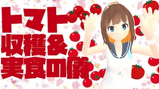 【まったりお昼ご飯】超絶ドアップ！魅惑のトマト収穫＆もぐもぐ配信！【ゾンビっ娘Vtuber】