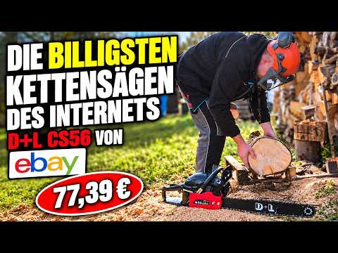 Die billigsten Kettensägen des Internets Teil 2 - D+L CS56 von eBay.de, 3,1 PS für unter 80€