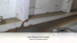 preview picture of video 'Video 5, Termites Gone, 16 Woodland Ct Townsville City QLD 4818'