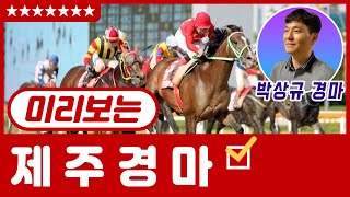 미리보는 제주경마 11월14일, 11월15일, 관심마 6두