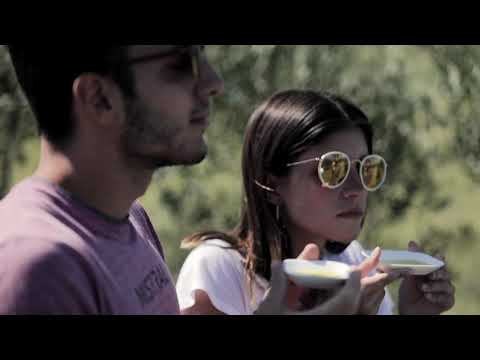 Turismo en Viñedos y Olivares del Quintón