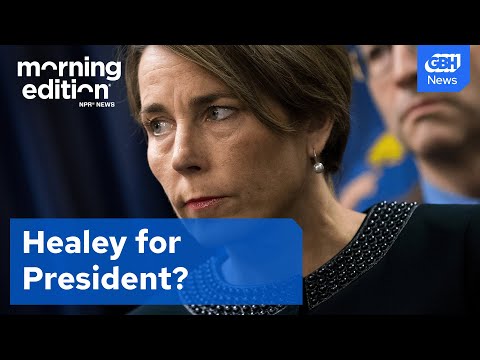 Mass. Governor Maura Healey blasts Trump and Congress in State of the Commonwealth address