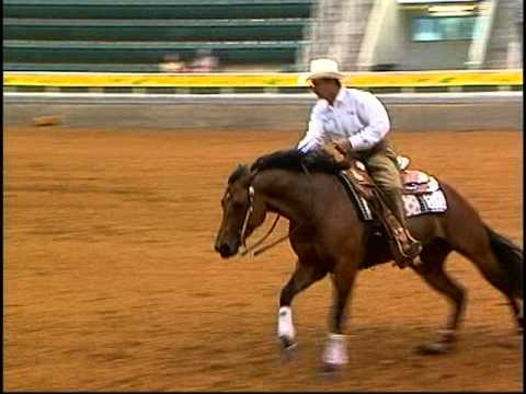 rocky dare squeaky clean genes