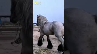 Download lagu 123da mp3