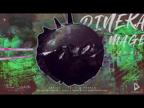 Shihan Mihiranga - Dineka Mage EDM Covered By  Lasith Dimithri Perera