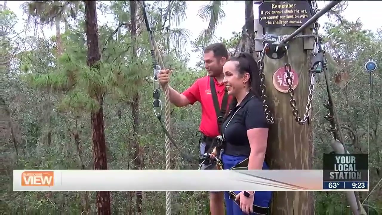 Soar across the Treetops at TreeUmph!