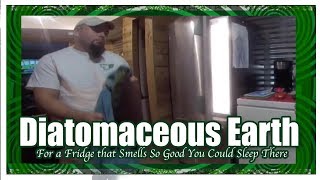Make Your Fridge Smell Nice with Diatomaceous Earth!