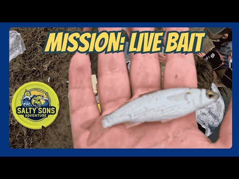 Salty Sons Adventure 05
