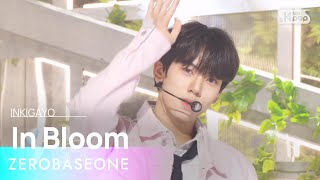 Cover art for In Bloom