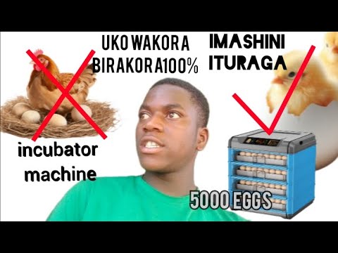UKO WAKORA IMASHINI IKORA IMISHWI(INKOKO)//HOW TO MAKE INCUBATION MACHINE AT HOME EASY