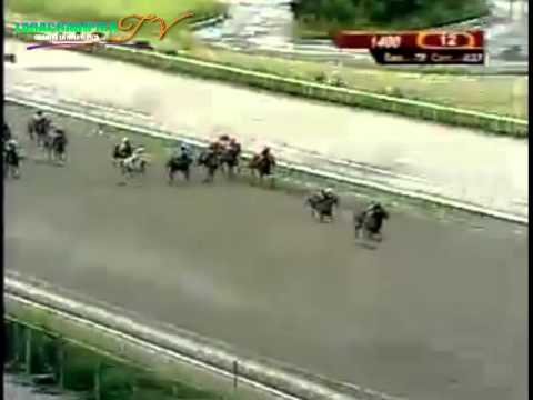 LA RINCONADA 12 CARRERA, DOMINGO 05 DE OCTUBRE DEL 2014